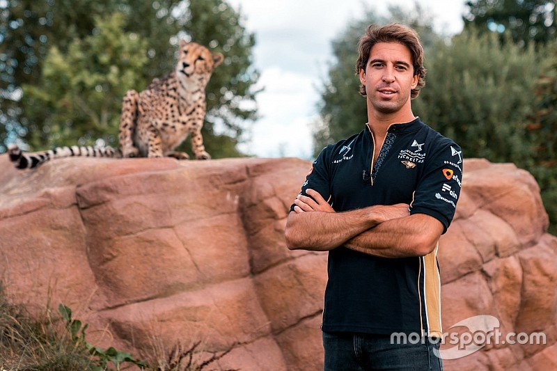 Felix da Costa blijft in Formule E met overstap naar Techeetah