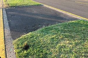 El desnivel en el césped que rompió el alerón de Ricciardo