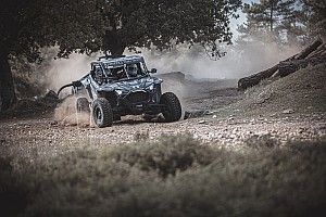 Polacy w mitycznej Troi