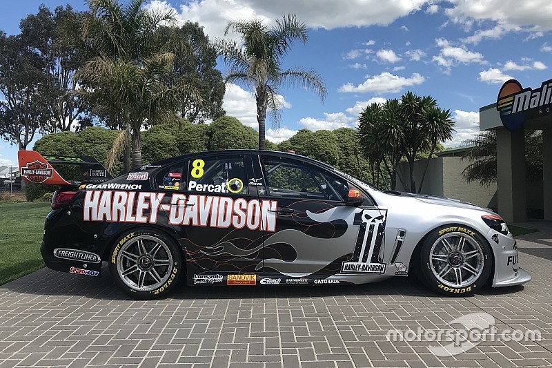 Percat to race with Harley-Davidson colours in NZ