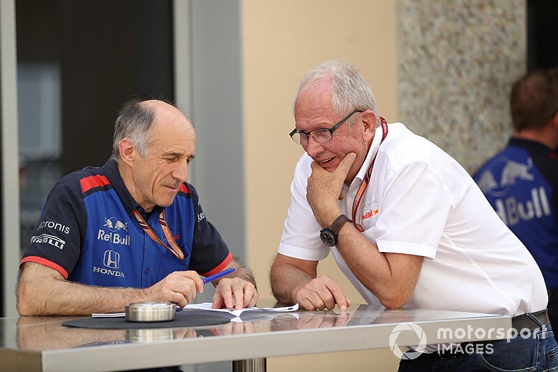 Tost stellt klar: Toro Rosso auch nächstes Jahr Honda-Versuchskaninchen