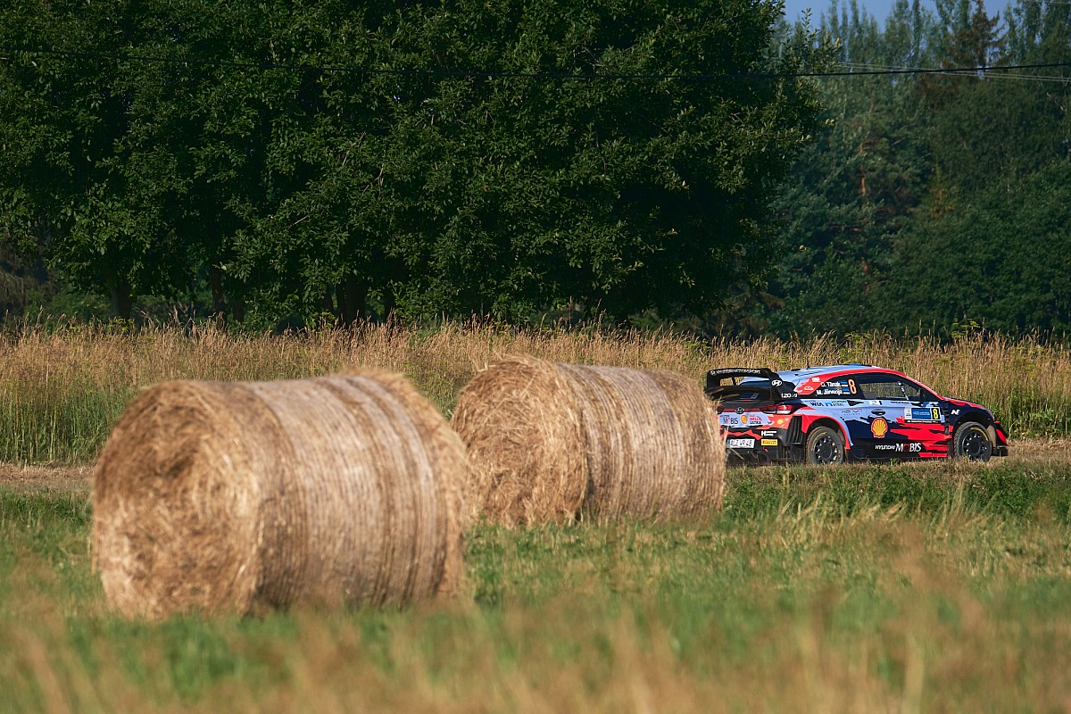 Tänak après son abandon : "J'ai endommagé deux pneus dans un champ"