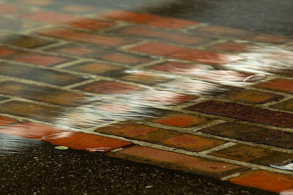 Rain ambiance on the Indianapolis Motor Speedway pitlane