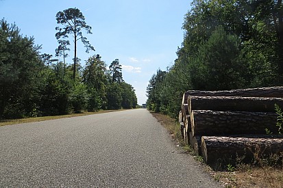 Gloria pasada: la naturaleza se comió al icónico Hockenheimring