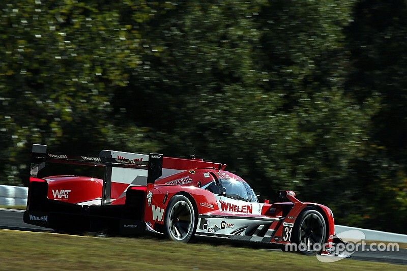 #31 Action Express Racing Cadillac DPi: Felipe Nasr, Eric Curran, Pipo Derani