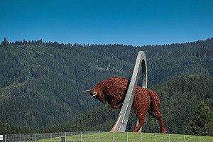 Los horarios para el GP de Austria de F1