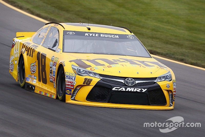 Busch brothers top final Sprint Cup practice at Pocono