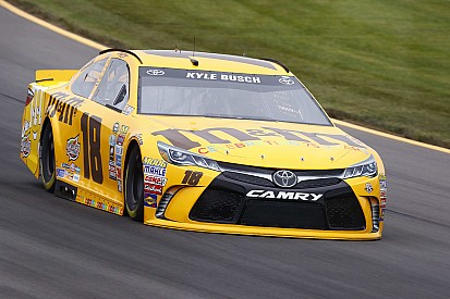 Busch brothers top final Sprint Cup practice at Pocono