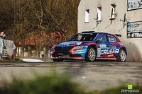 Grzyb rządzi na Kamionkach