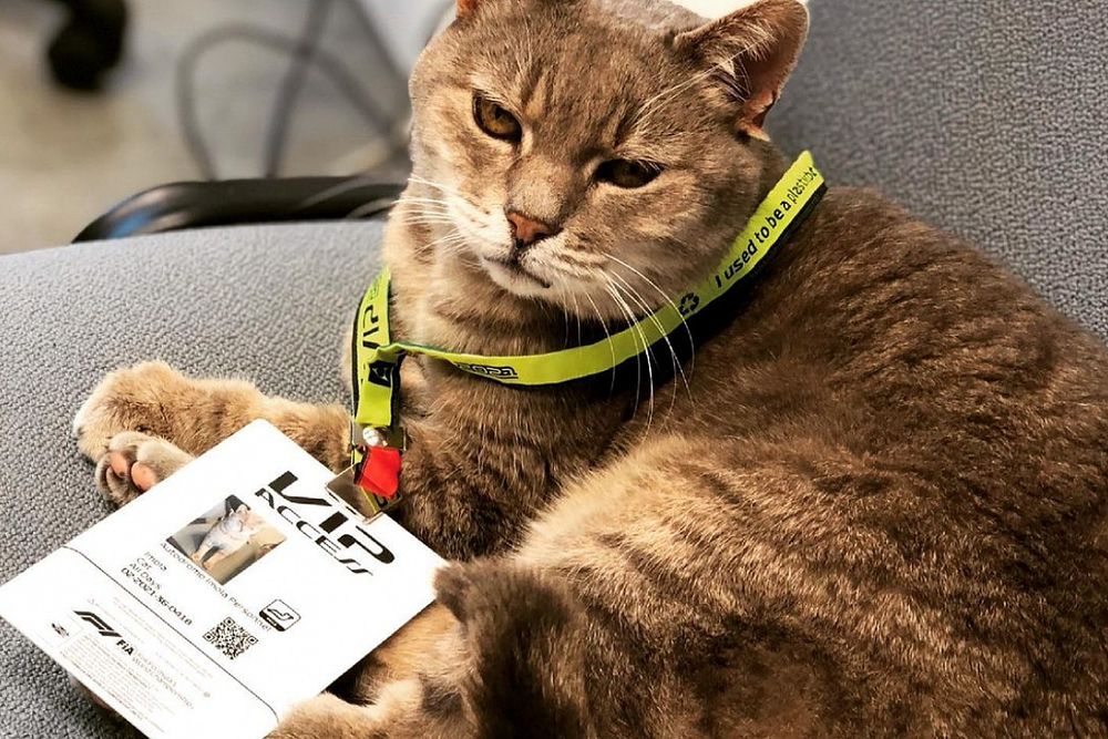 The secret of Imola’s lucky F1 paddock cat
