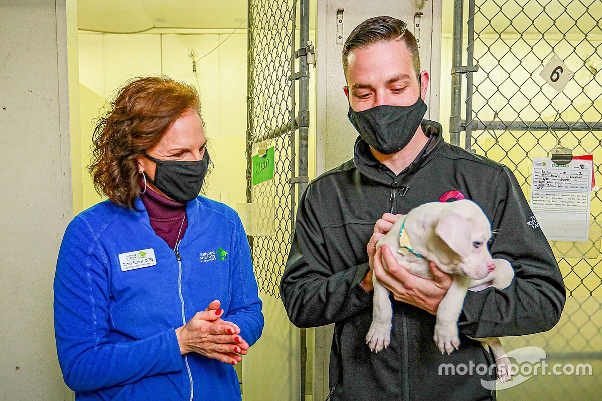 Ally joins Alex Bowman in race to help animal rescues