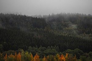 Eifel GP 1. antrenman seansı iptal edildi!