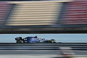 Wolff nie kłócił się z Hamiltonem