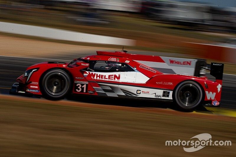 #31 Action Express Racing Cadillac DPi: Felipe Nasr, Eric Curran, Pipo Derani