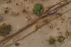 Price vuelve a ganar en un Dakar