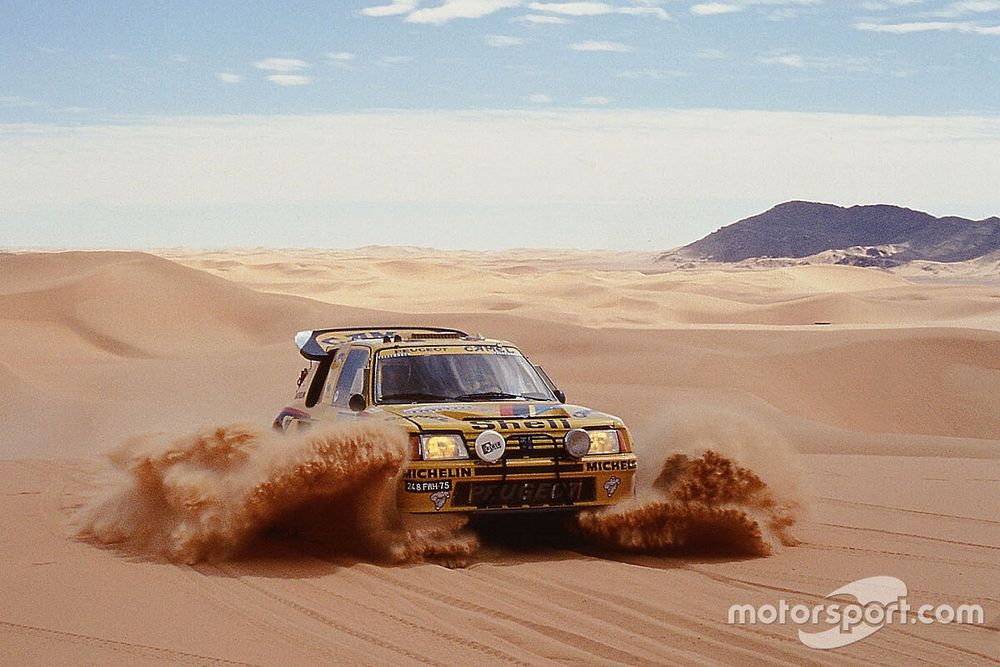 #205 Peugeot: Ari Vatanen, Bernard Giroux