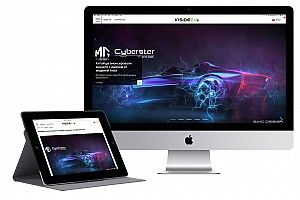 Motorsport Network announces launch of InsideEVs Russia