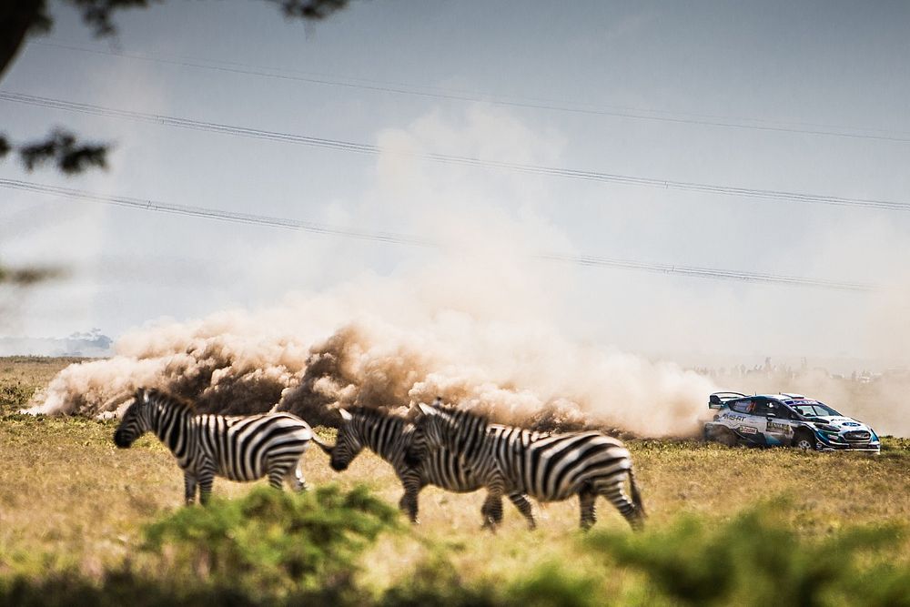 Gravel Notes Podcast: How M-Sport conquered the Safari from afar