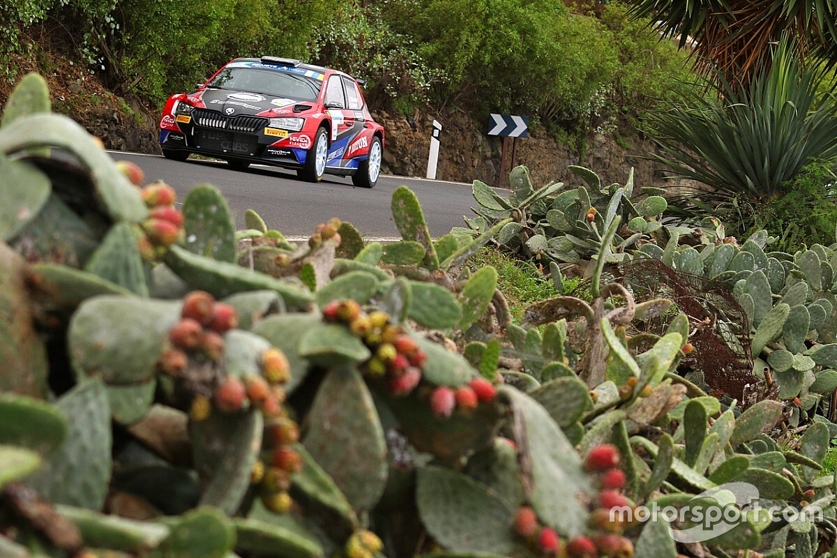 Mikkelsen w FIA ERC