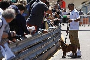 Hamilton'ın köpeği Coco hayatını kaybetti