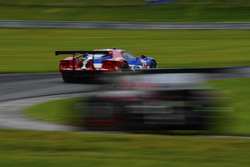 #67 Ford Performance Chip Ganassi Racing Ford GT: Ryan Briscoe, Richard Westbrook