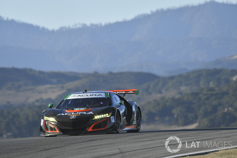 #93 Michael Shank Racing Acura NSX: Andy Lally, Katherine Legge