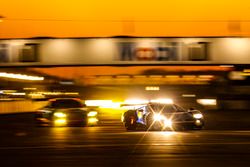 #67 Chip Ganassi Racing Ford GT, GTLM: Ryan Briscoe, Richard Westbrook, Scott Dixon