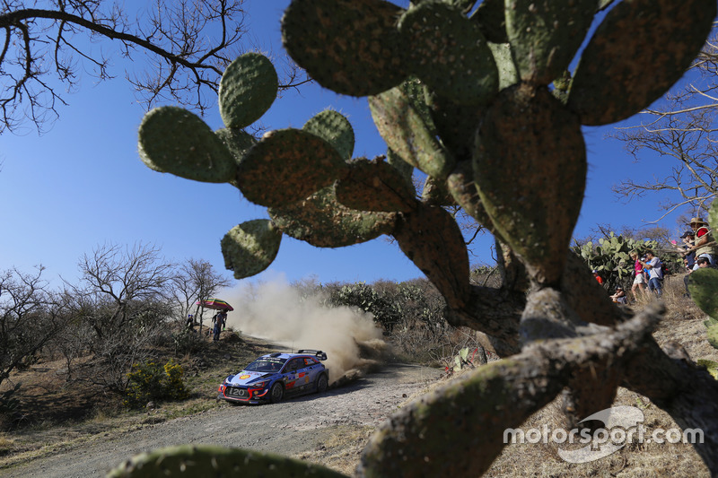 Thierry Neuville, Nicolas Gilsoul, Hyundai i20 WRC, Hyundai Motorsport