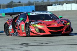 #93 Michael Shank Racing Acura NSX