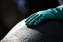 A Pirelli tyre and a rubber glove