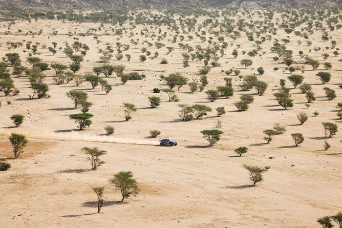 #226 Ford M-Sport Ford: Mattias Ekstrom, Emil Bergkvist