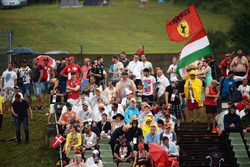 Des fans
