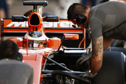 Stoffel Vandoorne, McLaren, dans le cockpit de sa McLaren MCL32