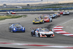 #43 RealTime Racing Acura NSX GT3: Ryan Eversley, Tom Dyer