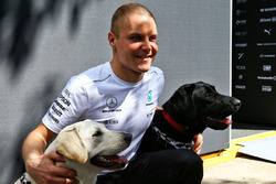 Valtteri Bottas, Mercedes AMG F1