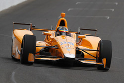 Fernando Alonso, Andretti Autosport Honda