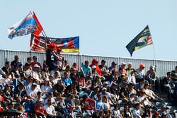Fans op de tribune