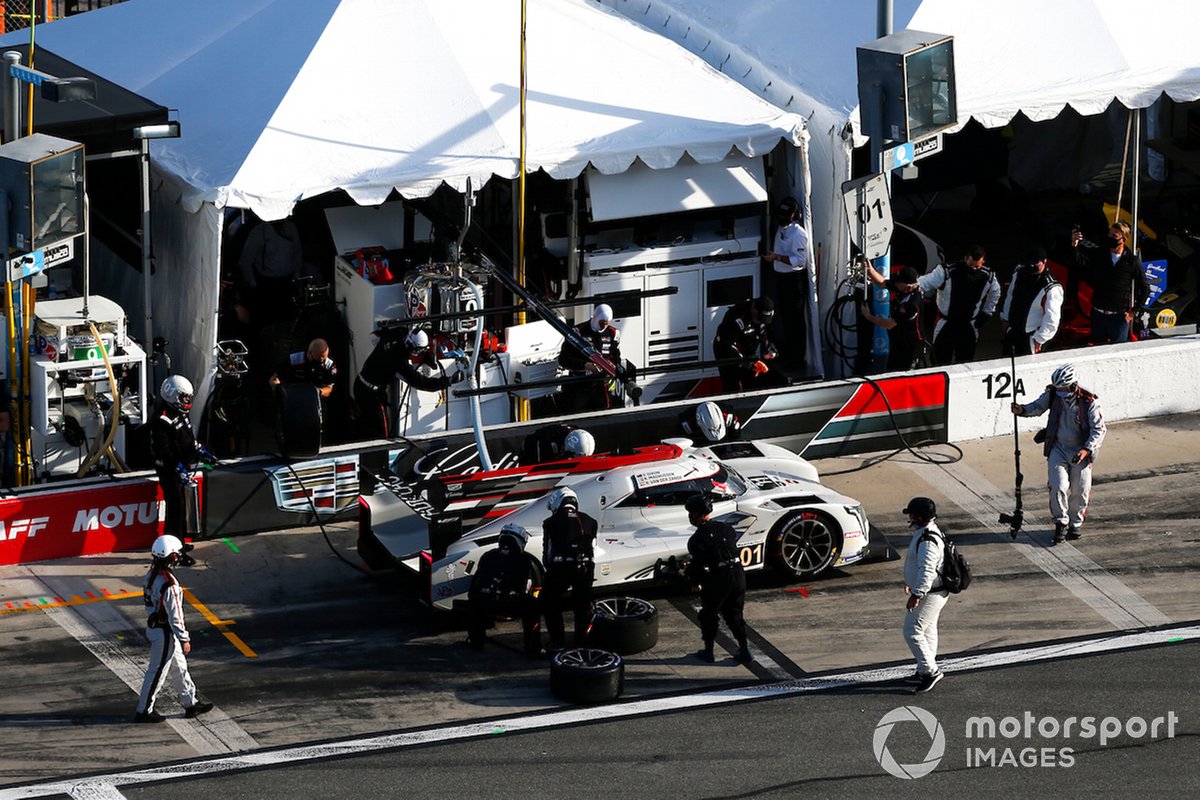 #01 Chip Ganassi Racing Cadillac DPi: Renger van der Zande, Scott Dixon, Kevin Magnussen