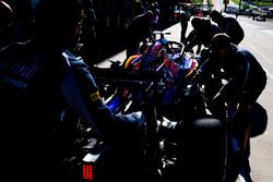 Daniil Kvyat, Scuderia Toro Rosso STR11