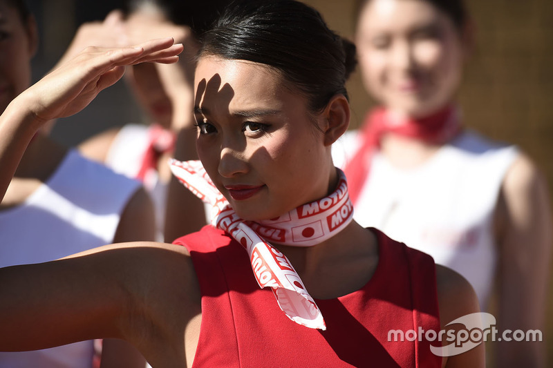 Lovely grid girl