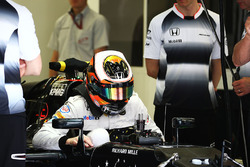 Stoffel Vandoorne, McLaren MP4-31