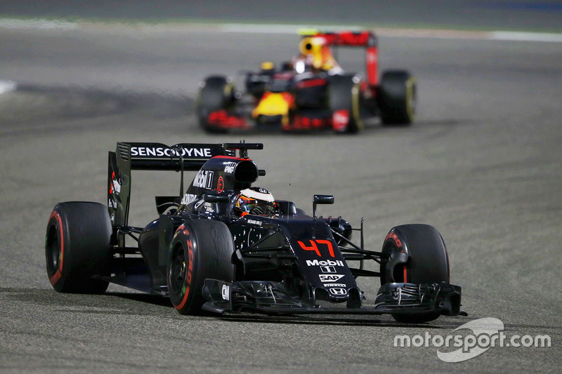 Stoffel Vandoorne, McLaren MP4-31