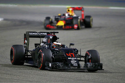Stoffel Vandoorne, McLaren MP4-31