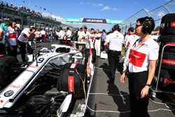 Marcus Ericsson, Sauber C37, in griglia