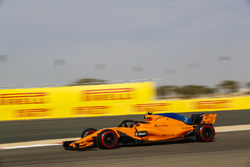 Stoffel Vandoorne, McLaren MCL33 Renault
