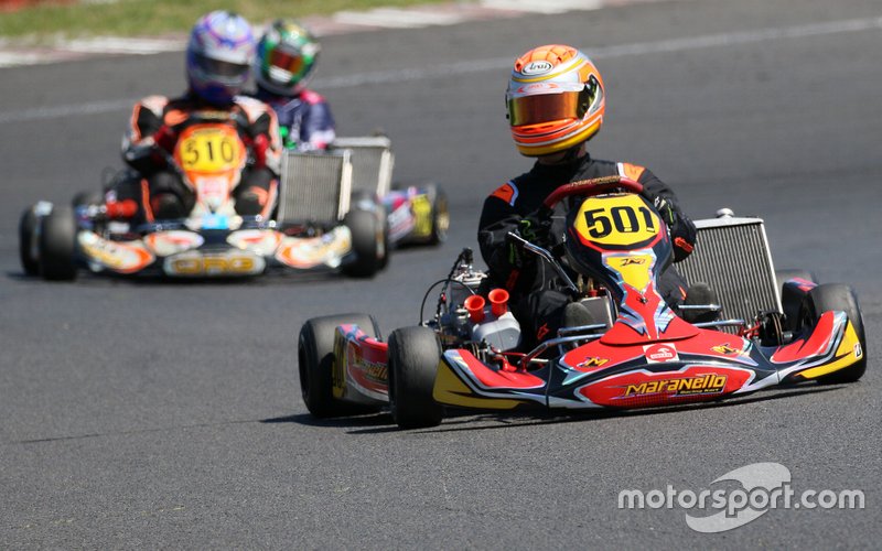 Rok Cup Poland 2019, Zielona Góra