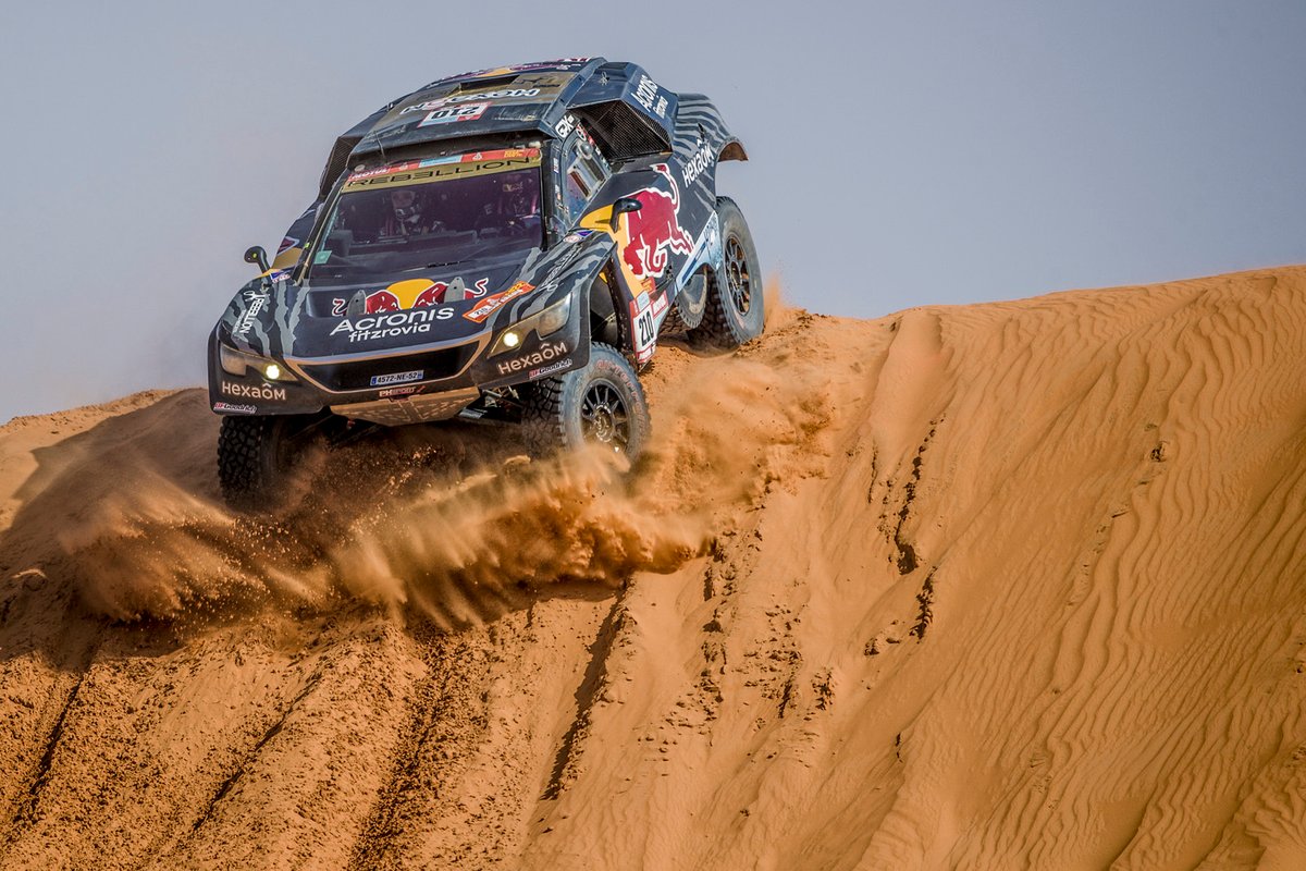 #210 Karman / Hexaom Peugeot: Cyril Despres, Taye Perry