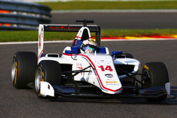 Matthew Parry, Koiranen GP