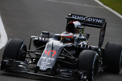 Stoffel Vandoorne, McLaren MP4-31 Test and Reserve Driver