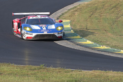 #66 Ford Performance Chip Ganassi Racing Ford GT: Joey Hand, Dirk Müller